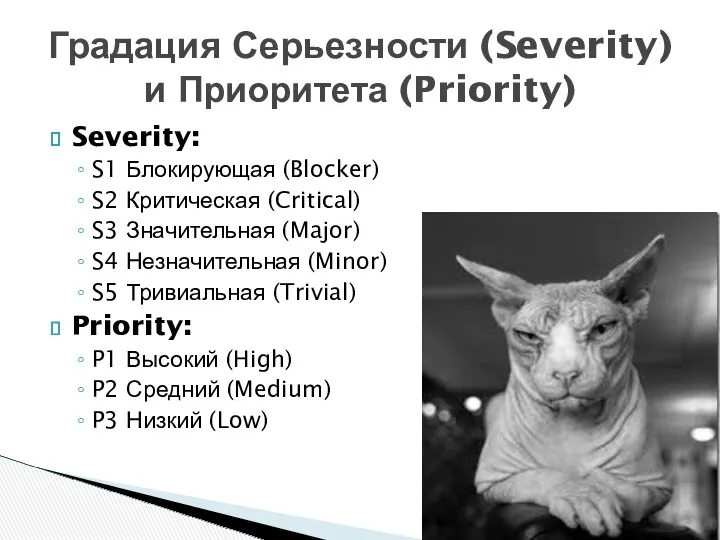 Severity: S1 Блокирующая (Blocker) S2 Критическая (Critical) S3 Значительная (Major) S4 Незначительная (Minor)