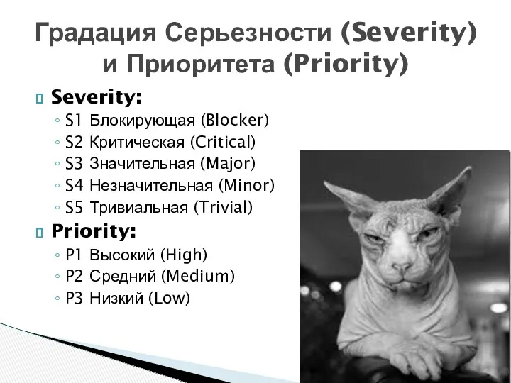 Severity: S1 Блокирующая (Blocker) S2 Критическая (Critical) S3 Значительная (Major)