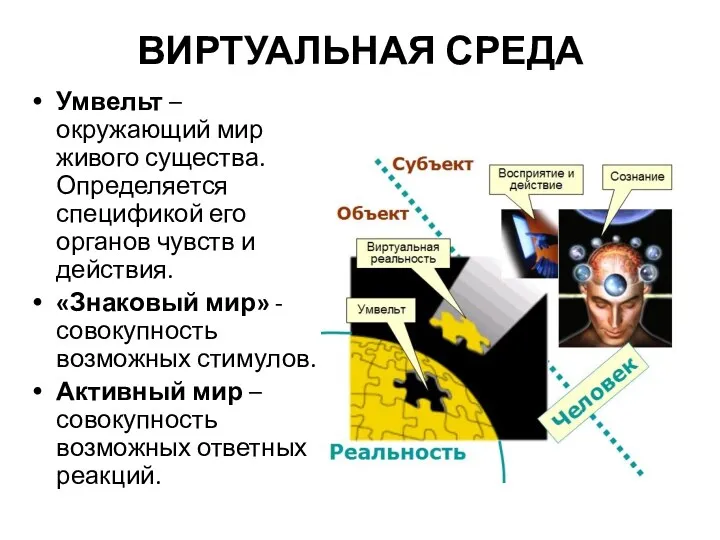 ВИРТУАЛЬНАЯ СРЕДА Умвельт – окружающий мир живого существа. Определяется спецификой