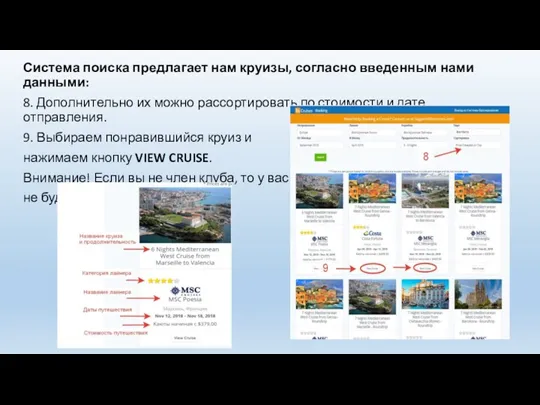 Система поиска предлагает нам круизы, согласно введенным нами данными: 8. Дополнительно их можно