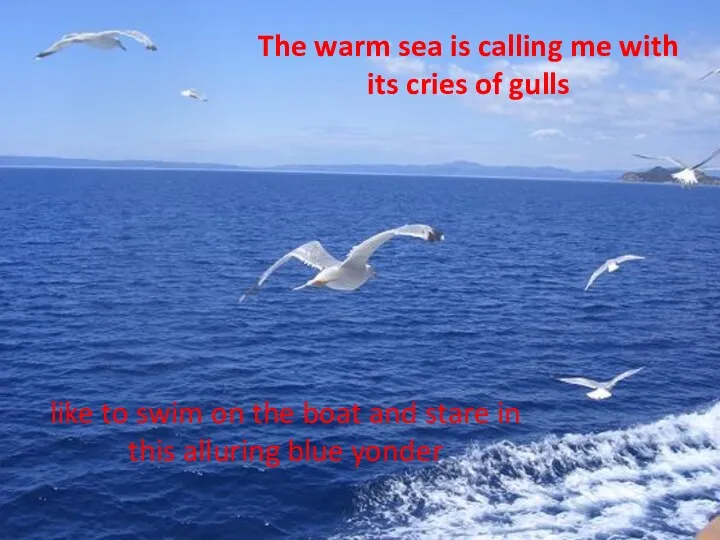 The warm sea is calling me with its cries of