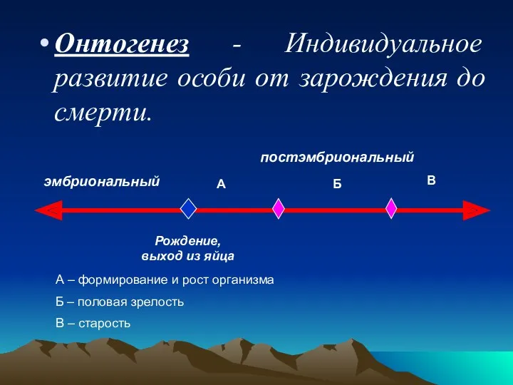 Онтогенез - Индивидуальное развитие особи от зарождения до смерти. Рождение,