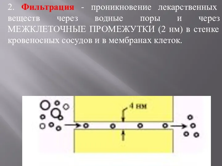 2. Фильтрация - проникновение лекарственных веществ через водные поры и