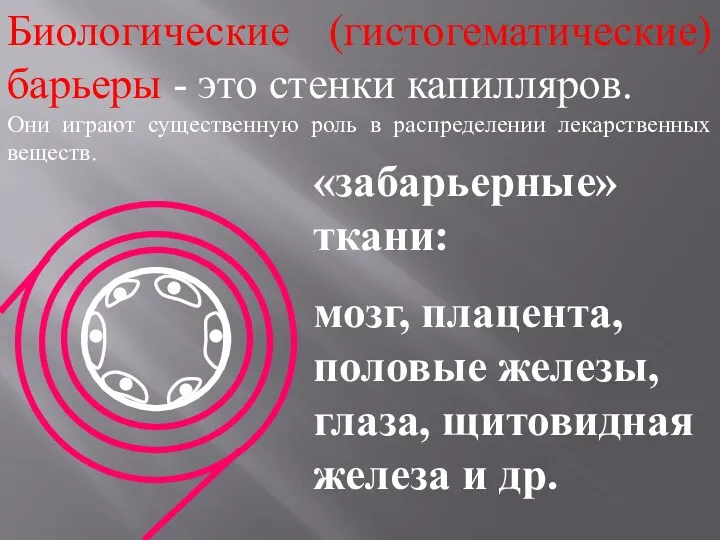 Биологические (гистогематические) барьеры - это стенки капилляров. Они играют существенную