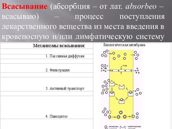 Всасывание (абсорбция – от лат. absorbeo – всасываю) – процесс