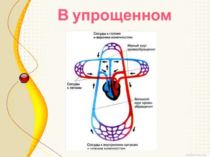 В упрощенном виде