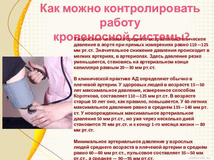 Как можно контролировать работу кровеносной системы? У взрослого человека среднего возраста систолическое давление