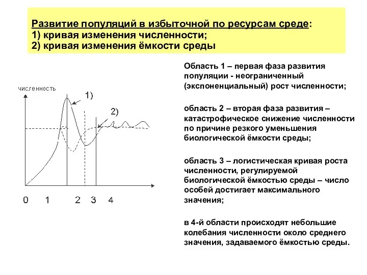 Развитие популяций в избыточной по ресурсам среде: 1) кривая изменения