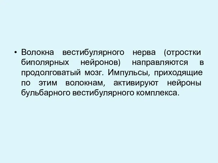 Волокна вестибулярного нерва (отростки биполярных нейронов) направляются в продолговатый мозг.