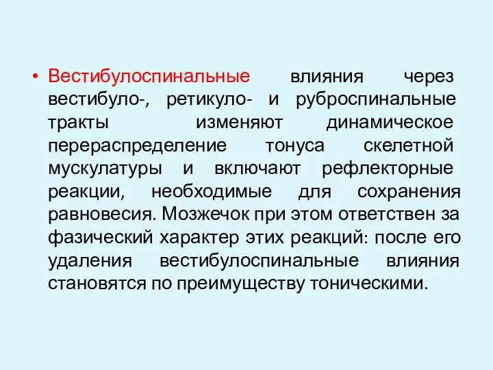 Вестибулоспинальные влияния через вестибуло-, ретикуло- и руброспинальные тракты изменяют динамическое