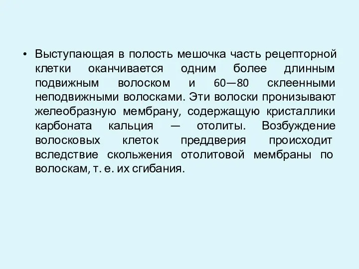 Выступающая в полость мешочка часть рецепторной клетки оканчивается одним более