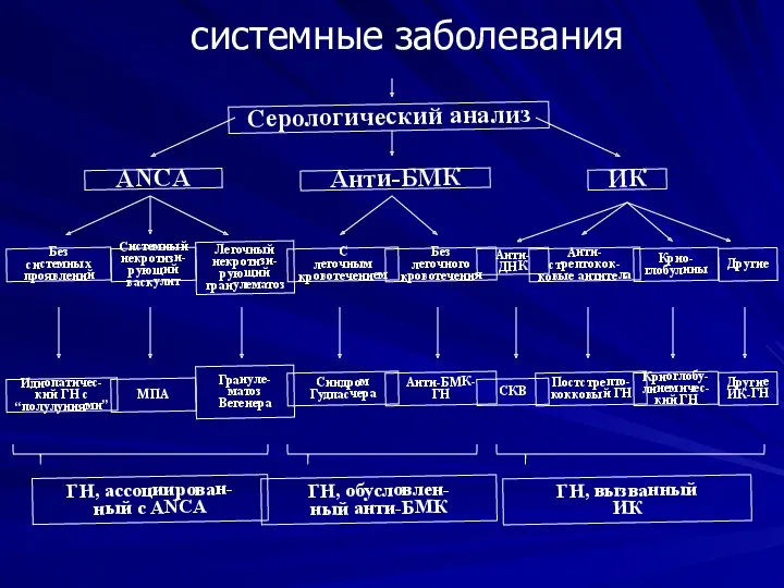 Серологический анализ ANCA Анти-БМК ИК Без системных проявлений Системный некротизи-рующий