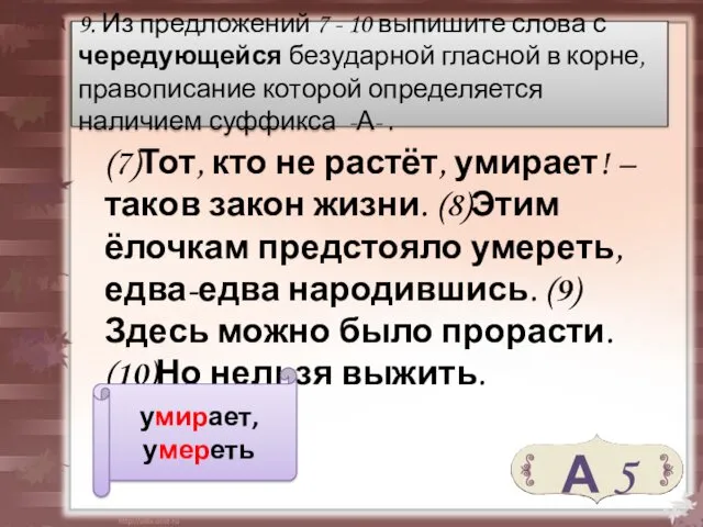 (7)Тот, кто не растёт, умирает! – таков закон жизни. (8)Этим