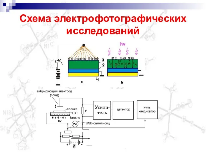 Схема электрофотографических исследований