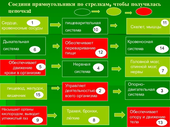 Соедини прямоугольники по стрелкам, чтобы получилась цепочка: