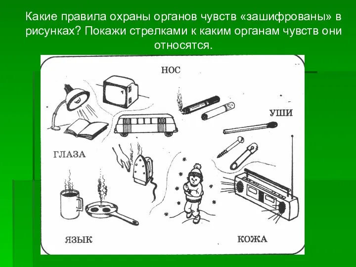 Какие правила охраны органов чувств «зашифрованы» в рисунках? Покажи стрелками к каким органам чувств они относятся.