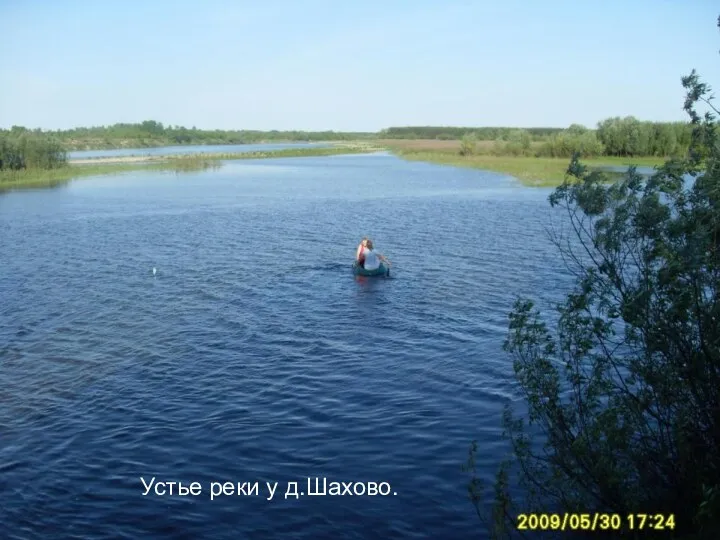 Устье реки у д.Шахово.
