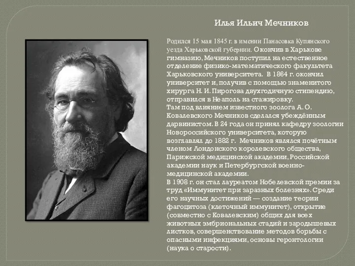 Илья Ильич Мечников Родился 15 мая 1845 г. в имении Панасовка Купянского уезда