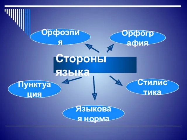 Стороны языка Орфоэпия Орфография Пунктуация Стилистика Языковая норма