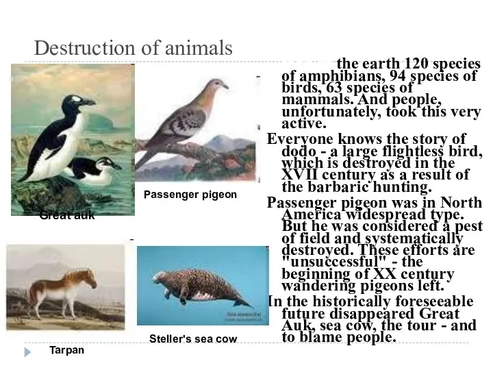 Destruction of animals Over the past 400 years have disappeared