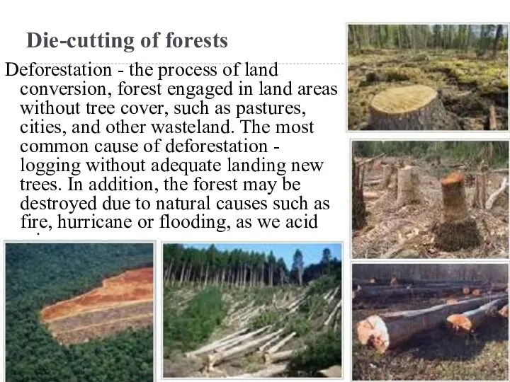 Die-cutting of forests Deforestation - the process of land conversion,