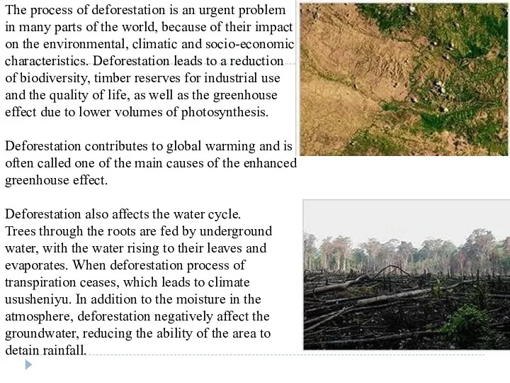 The process of deforestation is an urgent problem in many