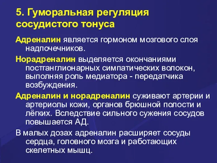 5. Гуморальная регуляция сосудистого тонуса Адреналин является гормоном мозгового слоя