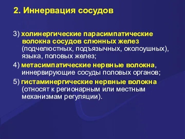 2. Иннервация сосудов 3) холинергические парасимпатические волокна сосудов слюнных желез