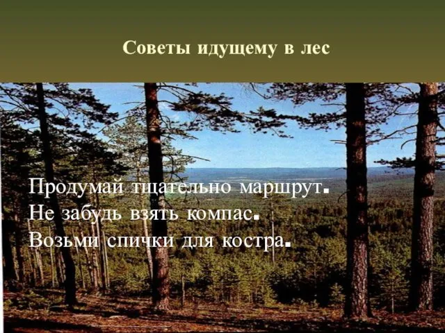 Советы идущему в лес Продумай тщательно маршрут. Не забудь взять компас. Возьми спички для костра.