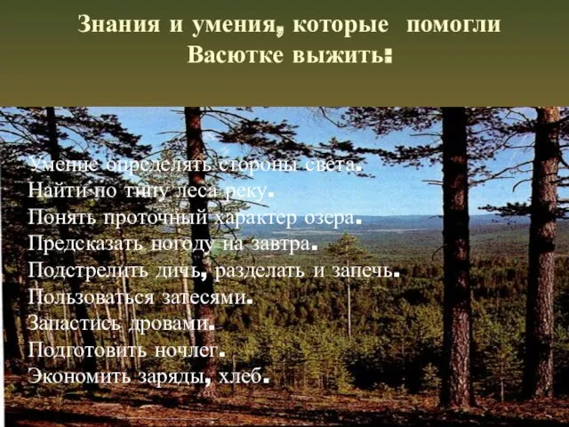 Знания и умения, которые помогли Васютке выжить: Умение определять стороны