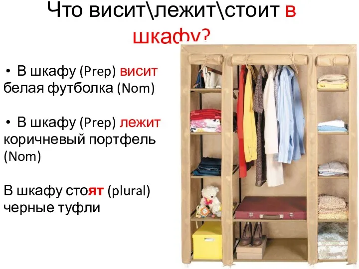 Что висит\лежит\стоит в шкафу? В шкафу (Prep) висит белая футболка