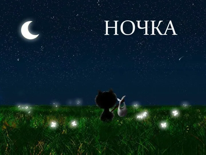 НОЧКА