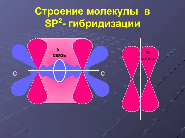 Строение молекулы в SP2- гибридизации δ -связь π-связь С С