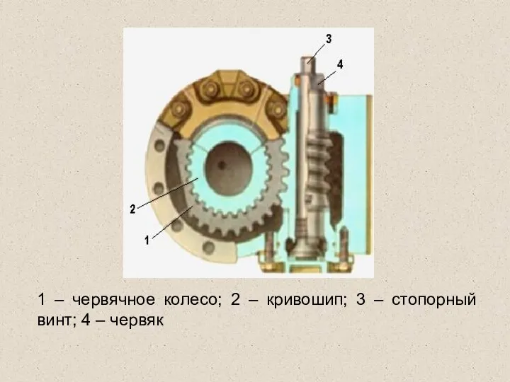 1 – червячное колесо; 2 – кривошип; 3 – стопорный винт; 4 – червяк