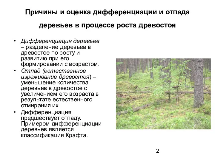 Причины и оценка дифференциации и отпада деревьев в процессе роста