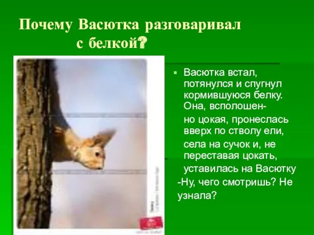 Почему Васютка разговаривал с белкой? Васютка встал,потянулся и спугнул кормившуюся