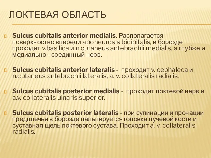 ЛОКТЕВАЯ ОБЛАСТЬ Sulcus cubitalls anterior medialis. Располагается поверхностно впереди aponeurosis bicipitalis, в борозде