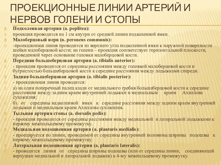 ПРОЕКЦИОННЫЕ ЛИНИИ АРТЕРИЙ И НЕРВОВ ГОЛЕНИ И СТОПЫ Подколенная артерия (a. poplitea): проекция