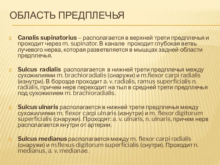 ОБЛАСТЬ ПРЕДПЛЕЧЬЯ Canalis supinatorius – располагается в верхней трети предплечья и проходит через