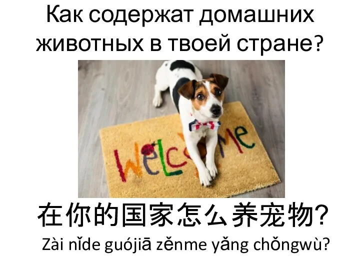 Как содержат домашних животных в твоей стране? 在你的国家怎么养宠物? Zài nǐde guójiā zěnme yǎng chǒngwù?