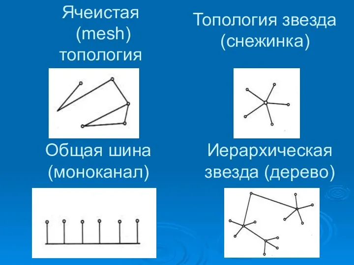 Ячеистая (mesh) топология Общая шина (моноканал) Топология звезда (снежинка) Иерархическая звезда (дерево)