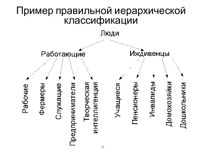 Пример правильной иерархической классификации