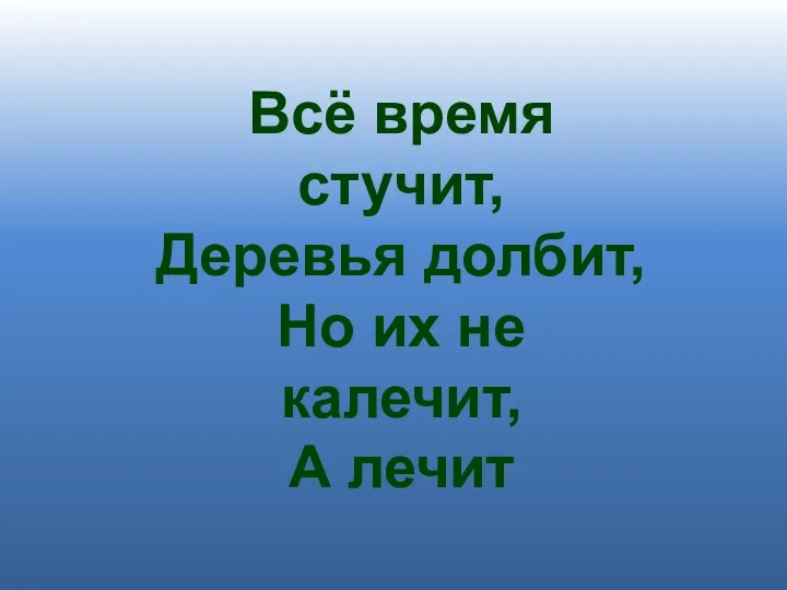 Всё время стучит, Деревья долбит, Но их не калечит, А лечит