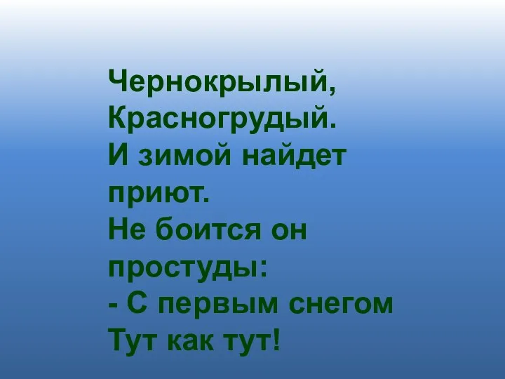 Чернокрылый, Красногрудый. И зимой найдет приют. Не боится он простуды: