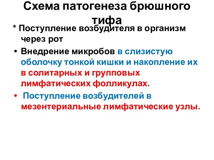 Схема патогенеза брюшного тифа * Поступление возбудителя в организм через