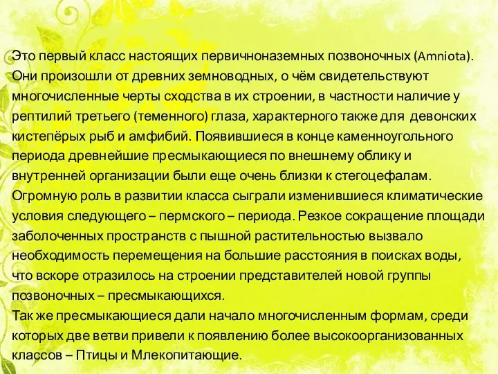 Это первый класс настоящих первичноназемных позвоночных (Amniota). Они произошли от