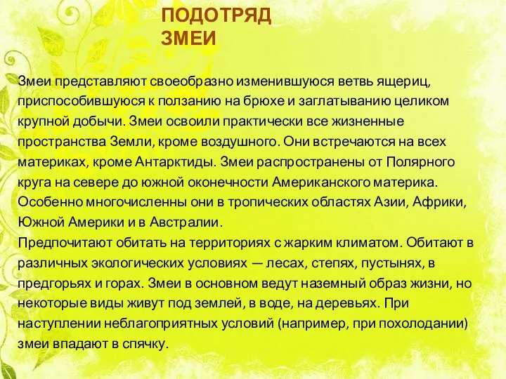 ПОДОТРЯД ЗМЕИ Змеи представляют своеобразно изменившуюся ветвь ящериц, приспособившуюся к