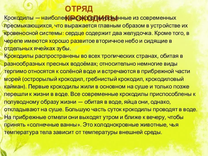 ОТРЯД КРОКОДИЛЫ Крокодилы — наиболее высокоорганизованные из современных пресмыкающихся, что