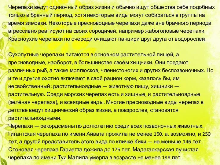 Черепахи ведут одиночный образ жизни и обычно ищут общества себе