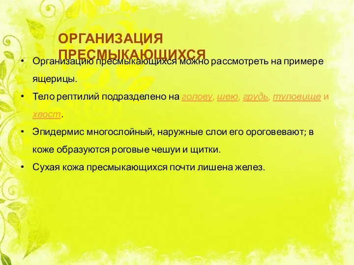 ОРГАНИЗАЦИЯ ПРЕСМЫКАЮЩИХСЯ Организацию пресмыкающихся можно рассмотреть на примере ящерицы. Тело